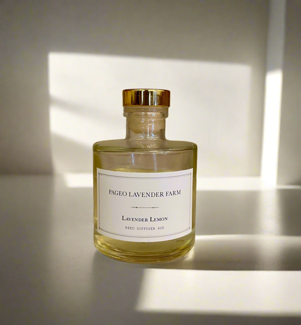 Reed Diffuser