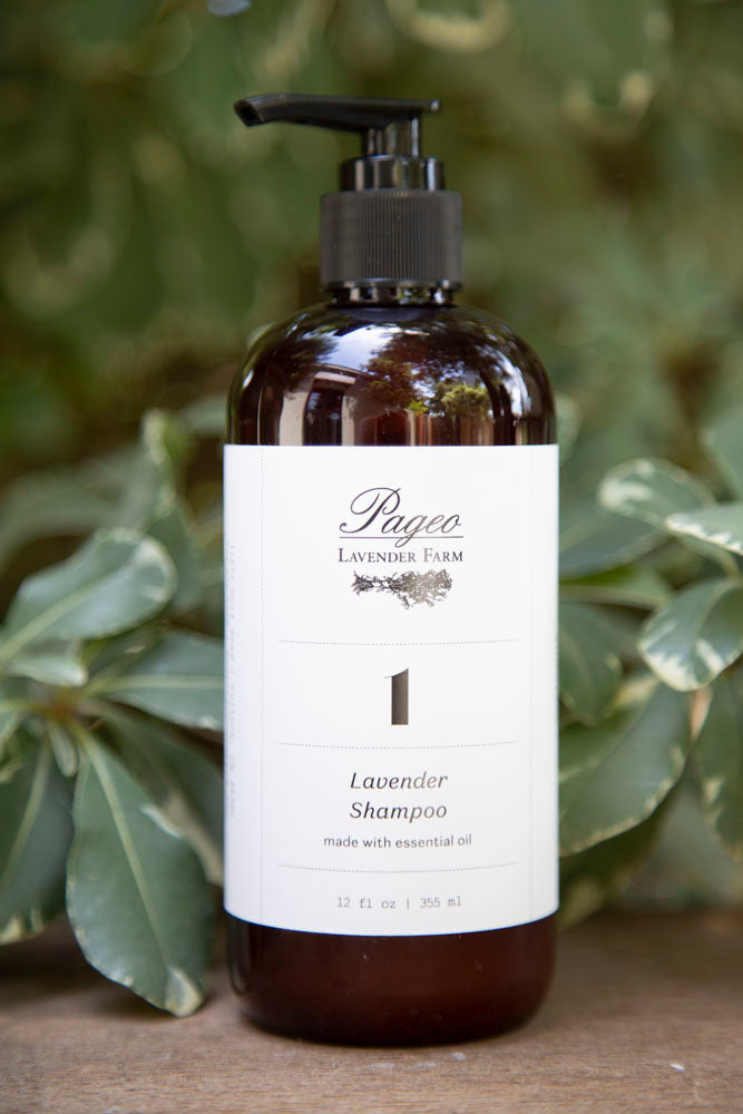 Shampoo